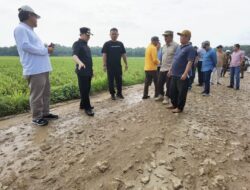 Cek Jalan Rusak, Marindo : APBD Perubahan Siap Perbaiki Ruas Ambarawa dan Banyumas