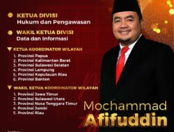 Sah, Mochammad Afifuddin Jadi Ketua KPU