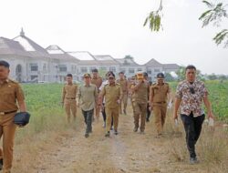 Sukseskan Upacara HUT 79, Pj Gubernur Samsudin Bersama Marindo Tinjau Lokasi di Kota Baru