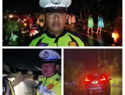 Sat Lantas Polres Tanggamus Bersama Damkar Evakuasi Pohon Tumbang di Pekon Batu Kramat 