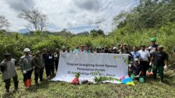 Program Energizing Green Spaces Tahun 2024 PT PLN NP UP Bandar Lampung Lakukan Aksi Penanaman Pohon Serentak