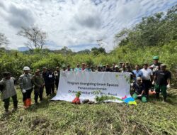 Program Energizing Green Spaces Tahun 2024 PT PLN NP UP Bandar Lampung Lakukan Aksi Penanaman Pohon Serentak