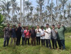 PTPN I Regonal 7 Gandeng Kulaku Berdayakan Petani Kelapa Desa Bulok