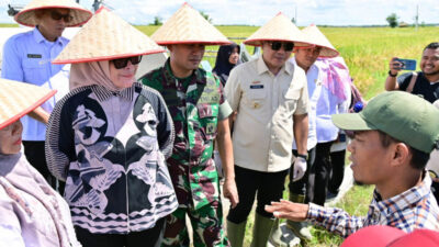 Pemkab Lamsel Ikut Panen Raya Yang Dibuka Presiden Prabowo