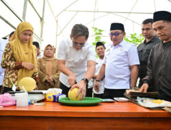 Bupati Egi Beri Apresiasi Ponpes Istiqomah Al-Amin Panen Melon Sultan