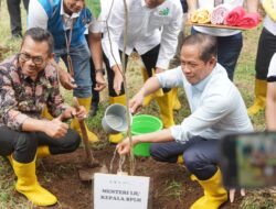 Dari Sumber Brantas, Untuk Masa Depan: PLN NP Tanam Bibit Pohon Bersama Menteri Lingkungan Hidup