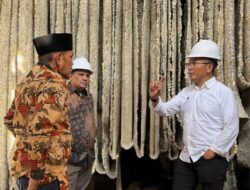 Komoditi Karet PTPN I Masih Sangat Prospektif