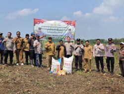 Dukung Ketahanan Pangan di Serang, Polsek Petir Tanam Jagung