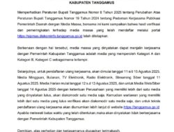 Dinilai Tak Paham Aturan Diskominfo Tanggamus, Pihak Biro Kecewa      