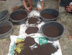 Ciptakan Ekonomi Sirkular Lewat Cacing, PLN Nusantara Power Bantu Warga Berdaya