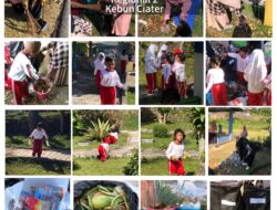 TK Tunas Karya PTPN I Regional 2 Ciater, Pelopor Pendidikan Usia Dini Subang