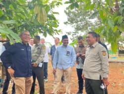 PTPN I Regional 7 Siap Laksanakan Program Hilirisasi Perkebunan