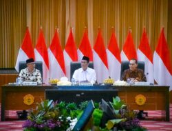 Aspirasi Petani Singkong Lampung Didengar, Presiden Instruksikan Lartas Impor Tapioka