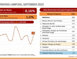Inflasi Lampung Terkendali, Pertanian Jadi Penopang Stabilitas Harga