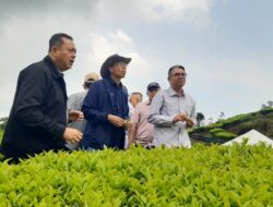 Dekom PTPN III: “Optimalkan Teknologi untuk Kejar Produksi!”