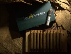 PTPN I Reg.1 Cadangkan 500 Hektare untuk Kembalikan Kejayaan Tembakau Deli