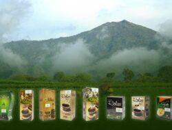 Teh Rolas Wonosari, Warisan Cita Rasa Dunia dari PTPN I