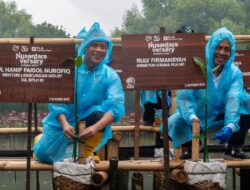 Rayakan 30 Tahun, PLN NP Tanam Pohon dan Dukung Pemulihan Ekosistem Pesisir
