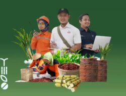 PTPN I Regional 3 Buka Magang Akuntansi! Golden Opportunity Banget Buat Mahasiswa D3 Semarang