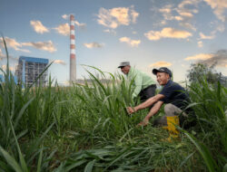 PLN Nusantara Power UP Tanjung Awar-awar Raih Penghargaan Initiative Award 2025 Berkat Inovasi Hijau SIPANDU DESI