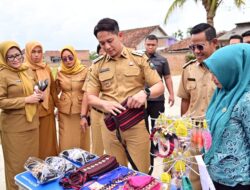 Desa Fajar Baru Jadi Role Model Agroeduwisata, Bupati Egi Apresiasi Sentuhan Seni dan Kreativitas Kades: “Unik dan Penuh Seni