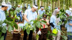 Menyelamatkan Hulu, Menopang Hilir: PLN Nusantara Power Rehabilitasi Lahan Kritis untuk Ekosistem Berkelanjutan