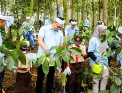 Menyelamatkan Hulu, Menopang Hilir: PLN Nusantara Power Rehabilitasi Lahan Kritis untuk Ekosistem Berkelanjutan
