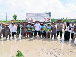Pemkab Lampung Selatan dan Kejati Lampung Dorong Ketahanan Pangan lewat Ekspansi Padi Biosalin di Sragi