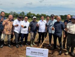 PTPN I Tanam 10 Ribu Bibit Kelapa di Banyuwangi, Ini Tujuannya