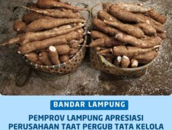 Gubernur Apresiasi Pelaku Usaha Singkong