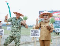 Dorong Swasembada Pangan Nasional, Lampung Ikut Tanam Padi Serentak 2026