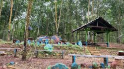 PTPN I Regional 7 Tegaskan Legalitas Aset Kebun Way Lima sebagai Aset Negara Berdasarkan Undang-Undang