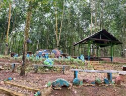 PTPN I Regional 7 Tegaskan Legalitas Aset Kebun Way Lima sebagai Aset Negara Berdasarkan Undang-Undang