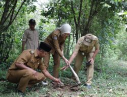 Pemprov Lampung Buka Peluang Kerja Sama Investasi Hijau untuk Perdagangan Karbon