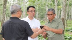 PTPN I Segera Ubah Struktur Bisnis