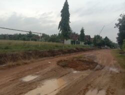 Akses Jalan Hancur, Warga Agung Jaya Desak Perbaikan Segera