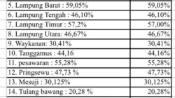 Jalan di Lampung Tak Sepenuhnya Mulus: 50 Persen Jalan Masih Rusak