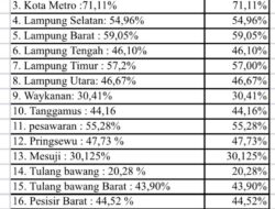 Jalan di Lampung Tak Sepenuhnya Mulus: 50 Persen Jalan Masih Rusak