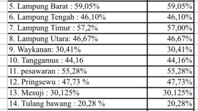 Jalan di Lampung Tak Sepenuhnya Mulus: 50 Persen Jalan Masih Rusak