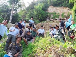 Longsor Gunung Rajabasa: Bupati Egi Naik 3 Km, Tanam Pohon Cegah Bencana Susulan