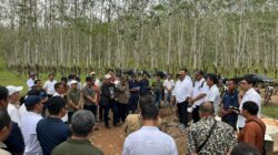 PTPN I Akselerasi Produksi Karet Melalui Standarisasi Operasional Regional