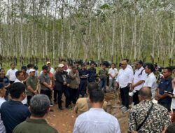 PTPN I Akselerasi Produksi Karet Melalui Standarisasi Operasional Regional