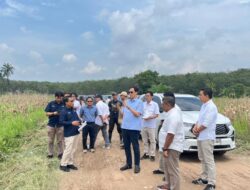 PTPN Siapkan 10.000 Ha Lahan Bioetanol untuk Budidaya Singkong di Lampung dan Sumsel