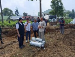 PTPN I (Persero) Siapkan Lahan Bawang Putih di Kebun Teh Gedeh