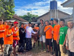Idul Adha Penuh Makna: Masjid Al Yaqin Tanjungraya Sembelih 14 Ekor Hewan Qurban