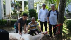 PLN Nusantara Power UP Bandar Lampung Laksanakan Pemotongan Hewan Qurban pada Hari Raya Idul Adha 1447 H