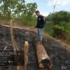 PTPN I (Persero) Tempuh Jalur Hukum atas Aksi Pengrusakan di Kebun Pangandaran