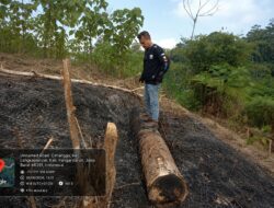 PTPN I (Persero) Tempuh Jalur Hukum atas Aksi Pengrusakan di Kebun Pangandaran