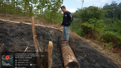PTPN I (Persero) Tempuh Jalur Hukum atas Aksi Pengrusakan di Kebun Pangandaran