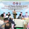 Kebun Anggur BUMDes Merak Batin Curi Perhatian Mendes PDT, Harapan Baru Ekonomi Warga Mulai Berbuah